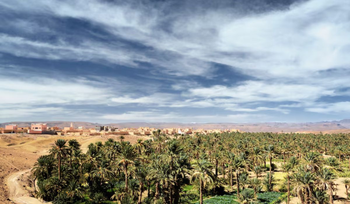 Al Baha