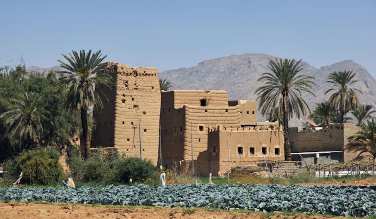 Najran