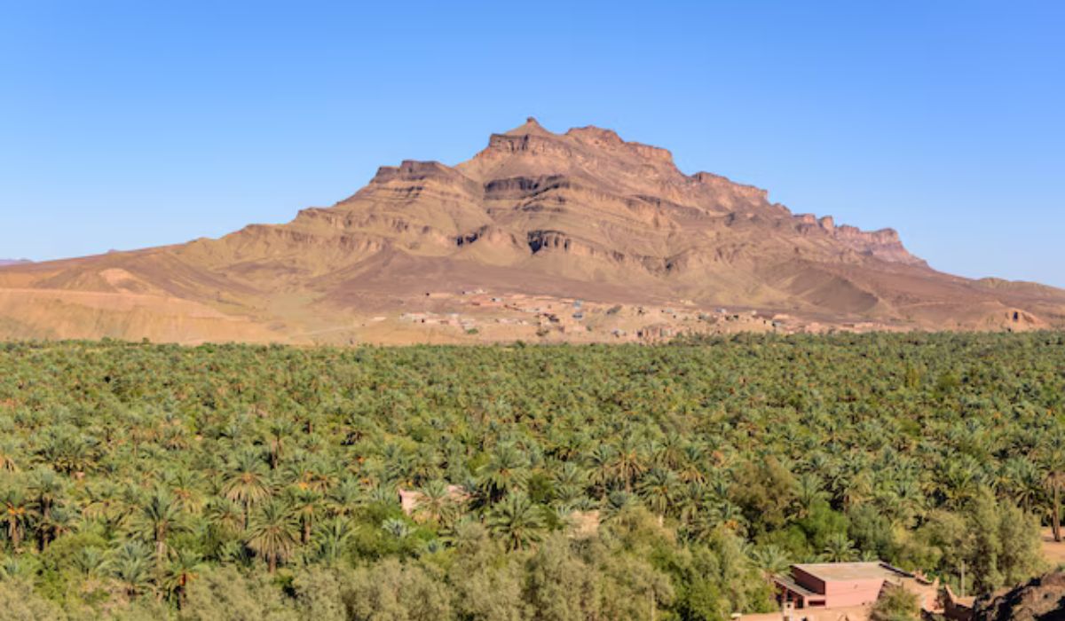 Tabuk