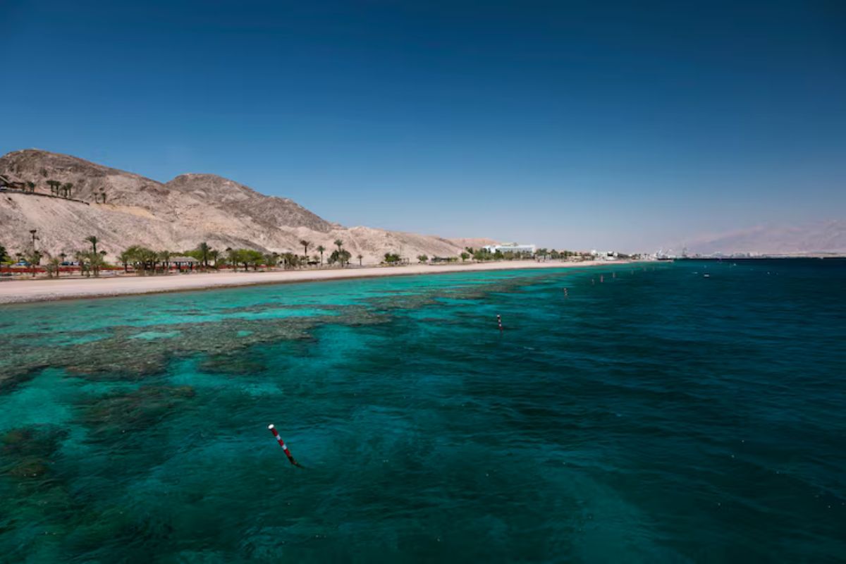 Red Sea Global